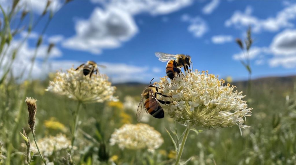 Bees pollinating wild flowers