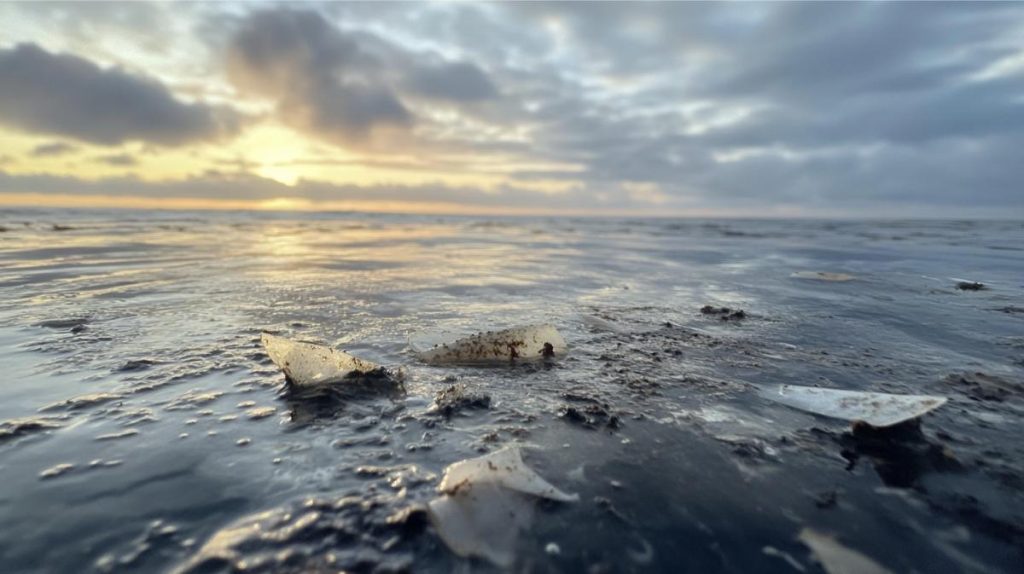 Plastic debris floating on the surface of the ocean