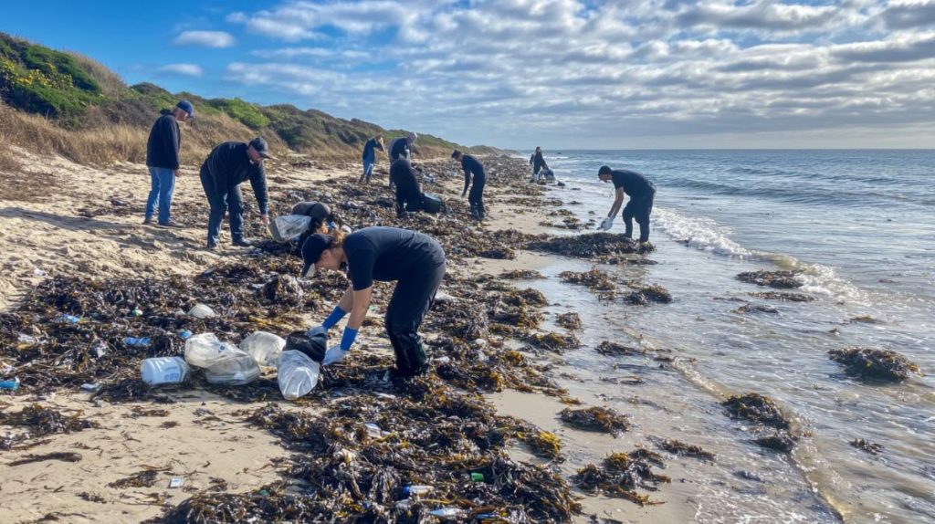 Volunteers picking up trash on an ocean shoreline