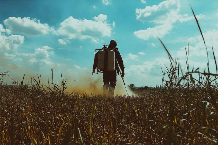 A farmer spraying pesticides on a field of crops