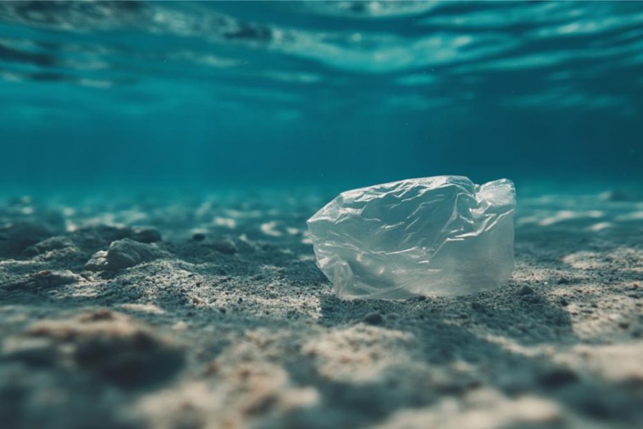 A piece of plastic debris on the ocean floor