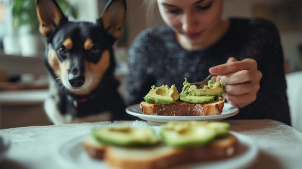 A young woman taking a bite of avocado with her dog watching